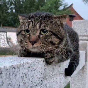 孙老师和他的学生们：品牌宣传中最重要的就是品牌宣传语